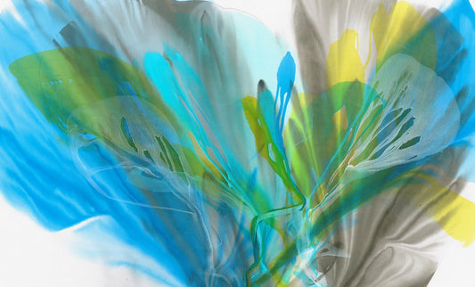 Expressions in COLOR Exhibition